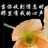 老师